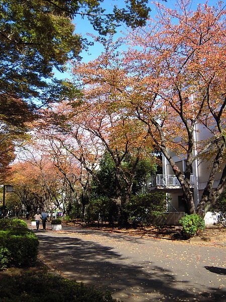 DSCN1783.JPG