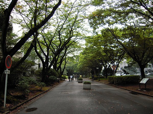 DSCN0268.JPG