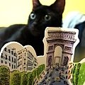 Pop-up Book：PARIS