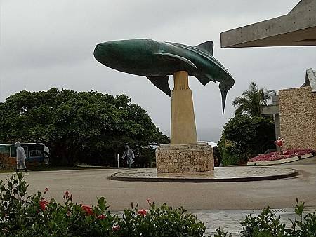 20180415_180620_0098.jpg