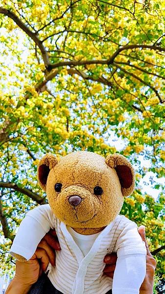 uri_mh1618216953351 (2).jpg