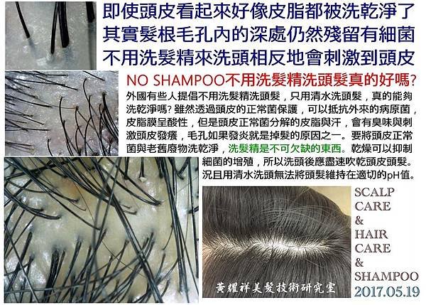 NO SHAMPOO不用洗髮精洗頭髮真的好嗎?