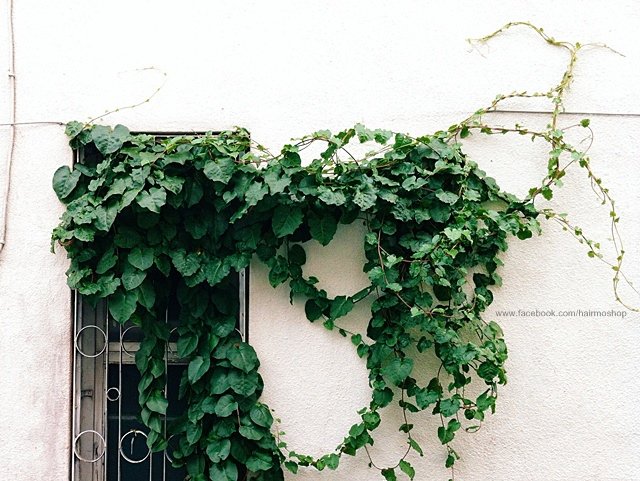 2014-04-19 16.29.53.jpg