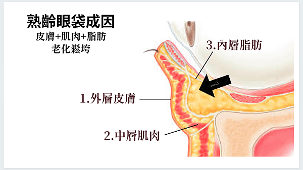 螢幕快照 2020-10-26 上午7.46.19.png