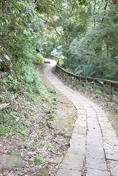 【鐵熊‧勇腳無敵】獅頭山風景區