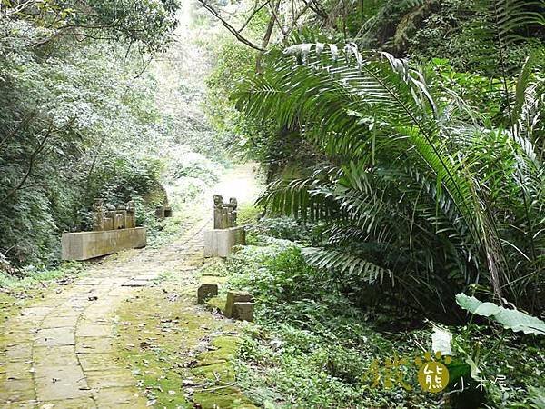 【鐵熊‧勇腳無敵】獅頭山風景區