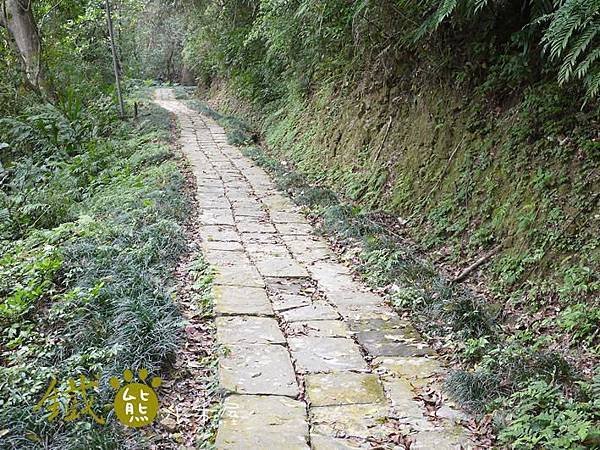 【鐵熊‧勇腳無敵】獅頭山風景區