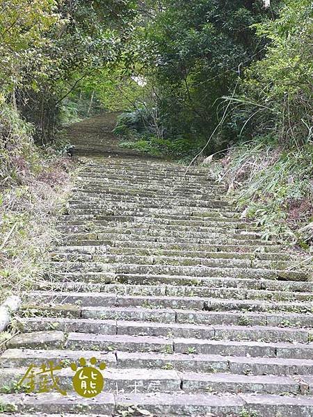 【鐵熊‧勇腳無敵】獅頭山風景區