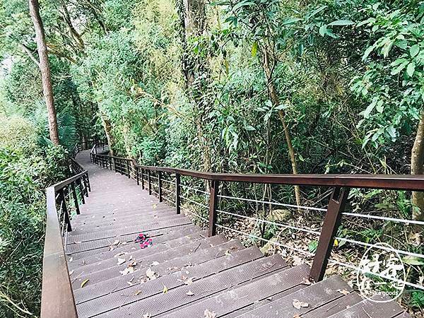 上崁聚落_茶園坪步道28.jpg