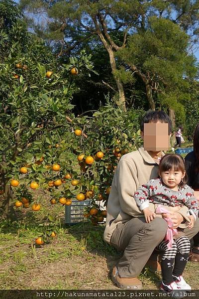 37.JPG