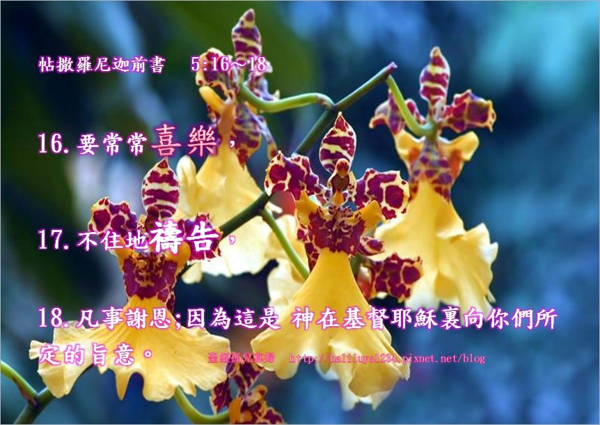 帖撒羅尼迦前書 5：16-18