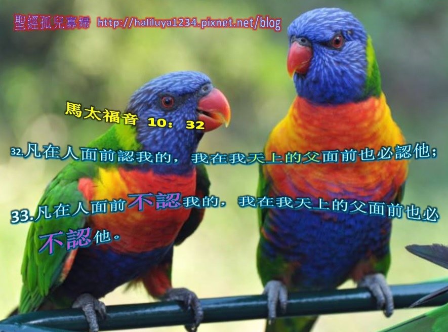 馬太福音10：32.jpg