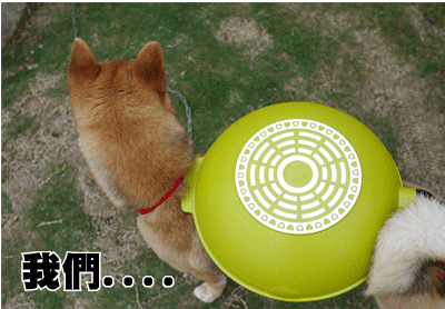 P1020713.gif