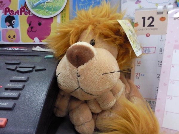 Photo0101.jpg