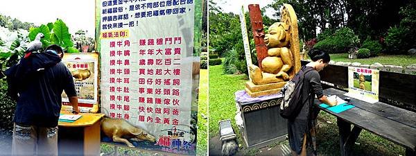 IMG_20150930_115048a.jpg