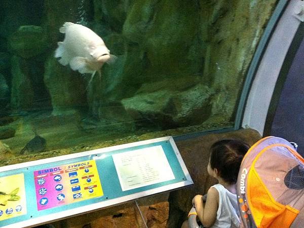 IMG_2555.jpg