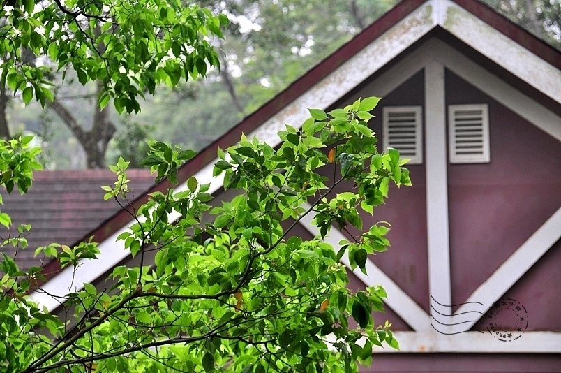 西湖渡假村荷蘭森林小屋