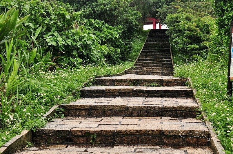 金山獅頭山公園