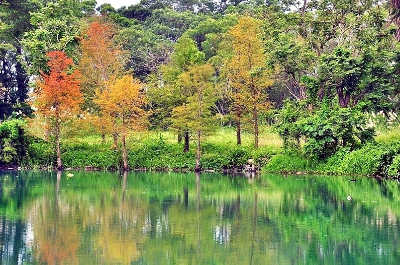 花蓮雲山水