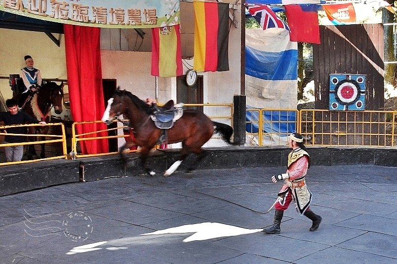 清境農場馬術秀