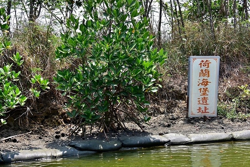 台南四草紅樹林綠色隧道