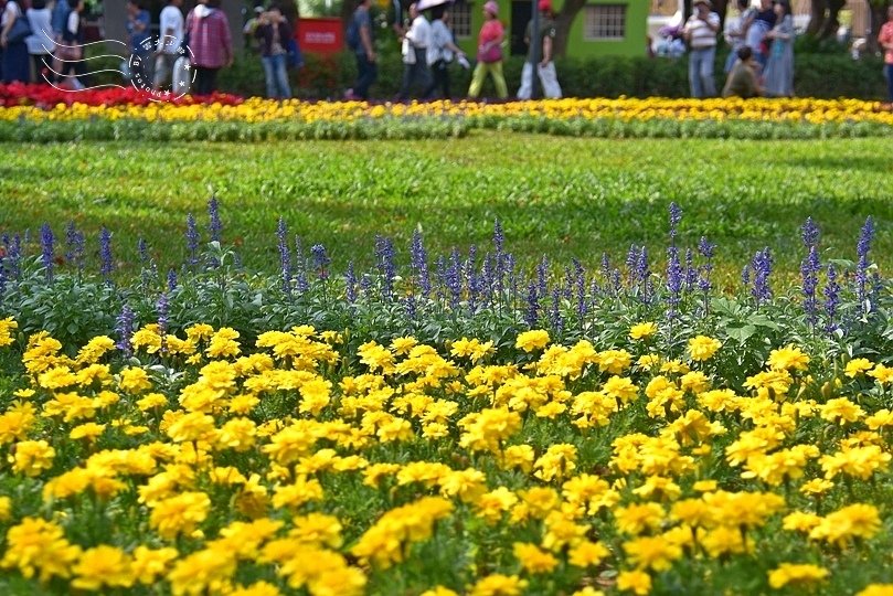台中花博:后里馬場園區