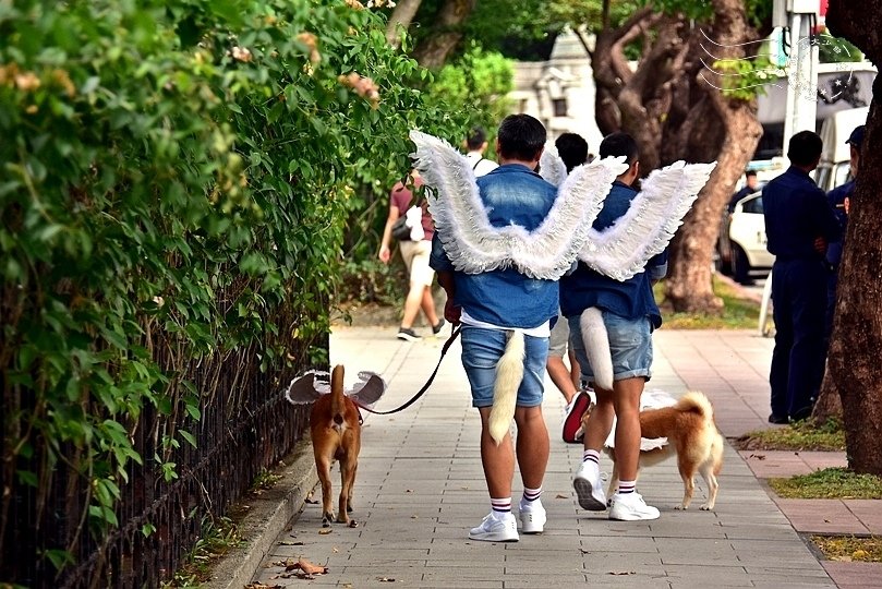 2019台灣同志大遊行
