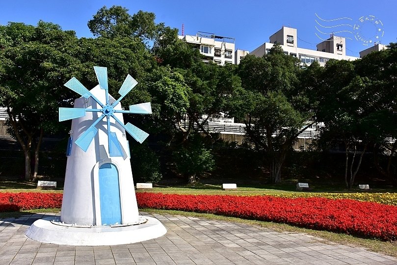 古亭河濱公園花海