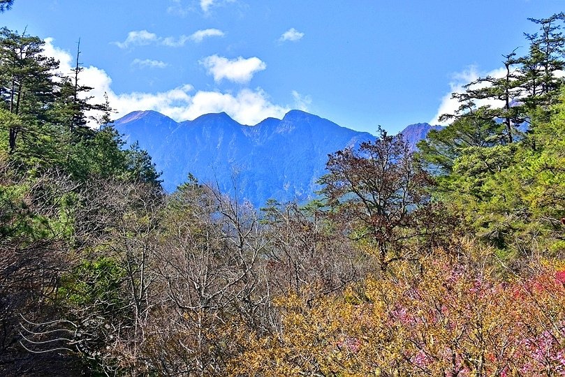 雪山主峰