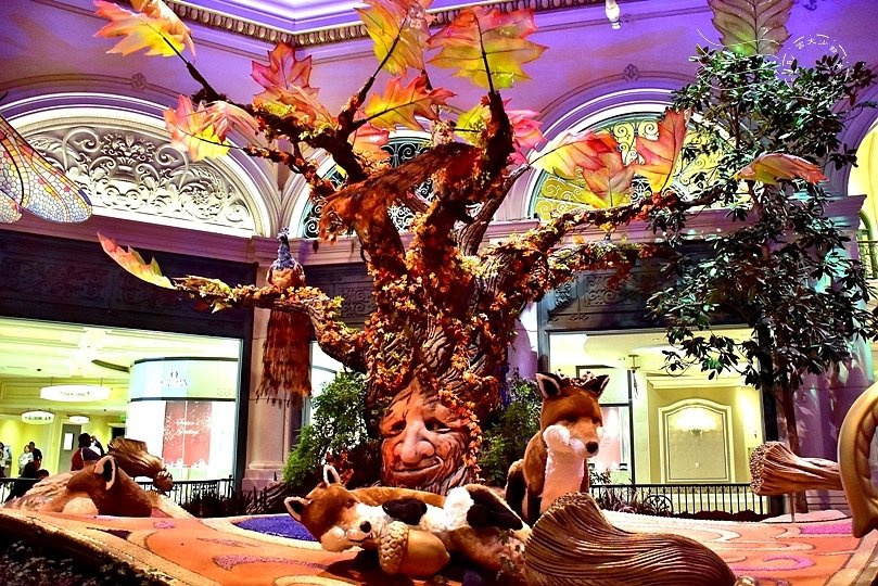 Bellagio百樂宮酒店溫室花園