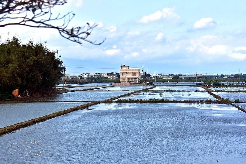 宜蘭水田