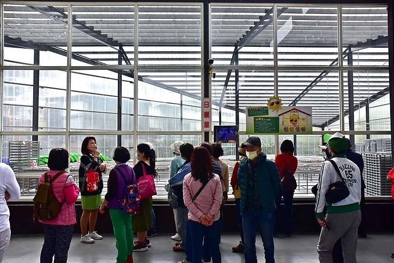 嘉義梅子元氣館