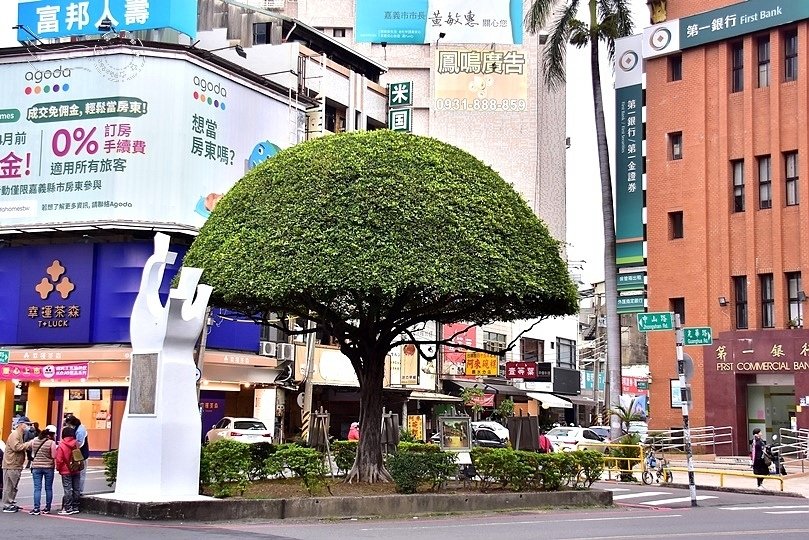 嘉義中山路路樹