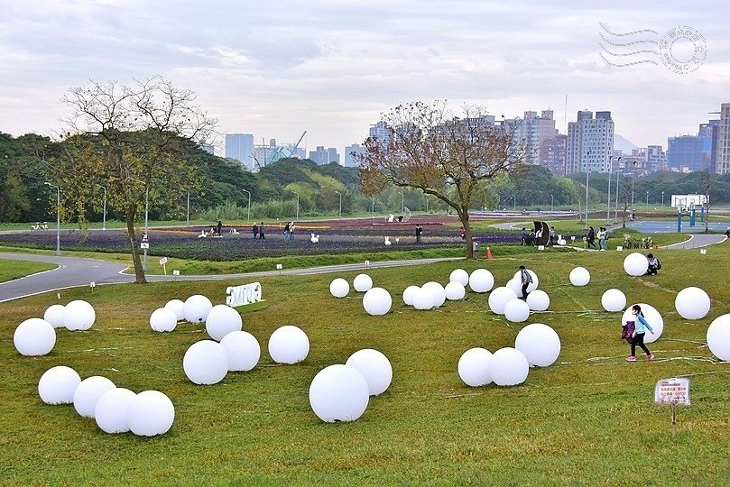 古亭河濱公園花海