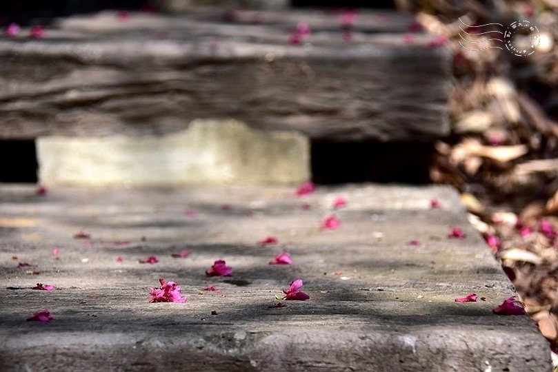 鄭漢紀念步道