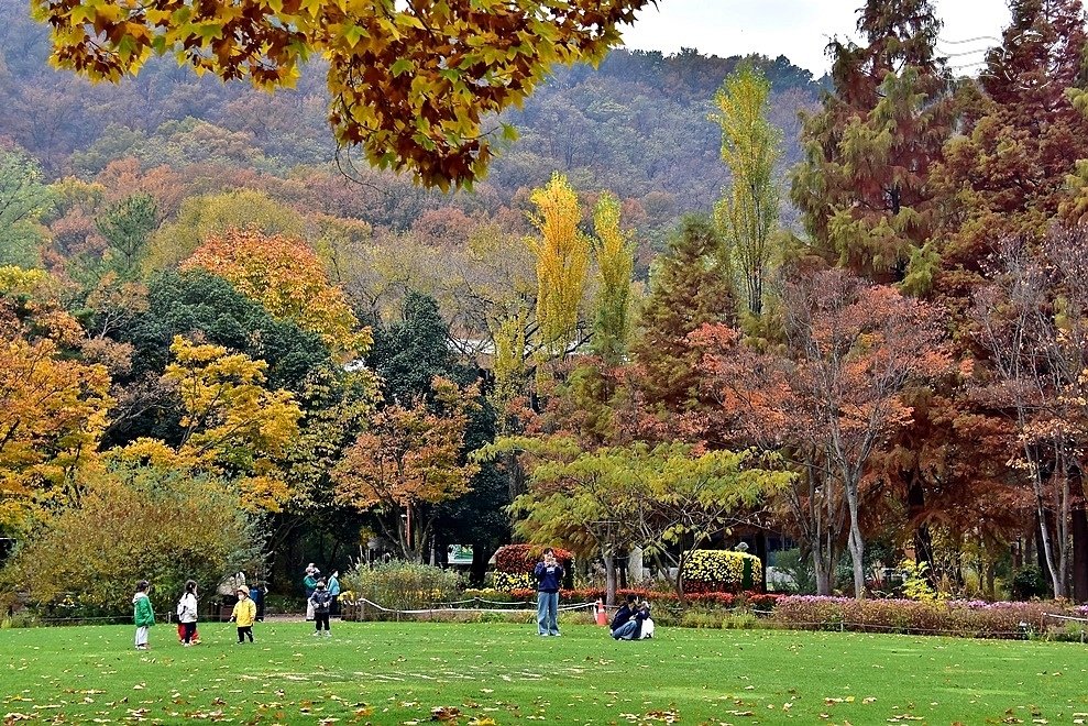 韓國【大邱樹木園】