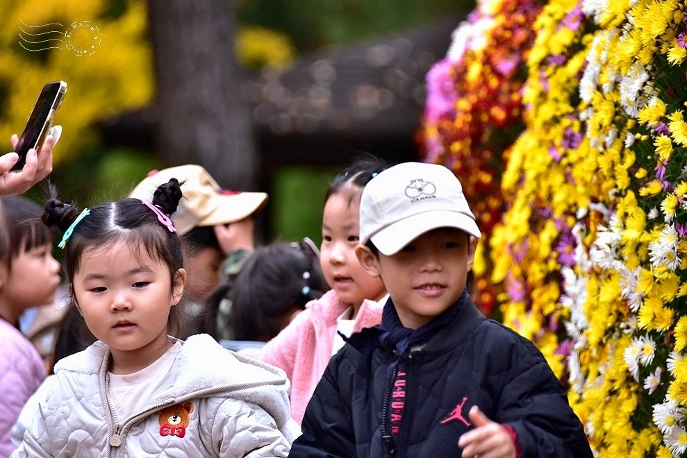 韓國【大邱樹木園】