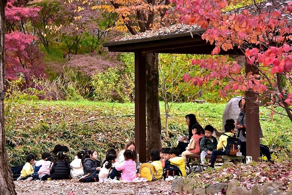 韓國【大邱樹木園】