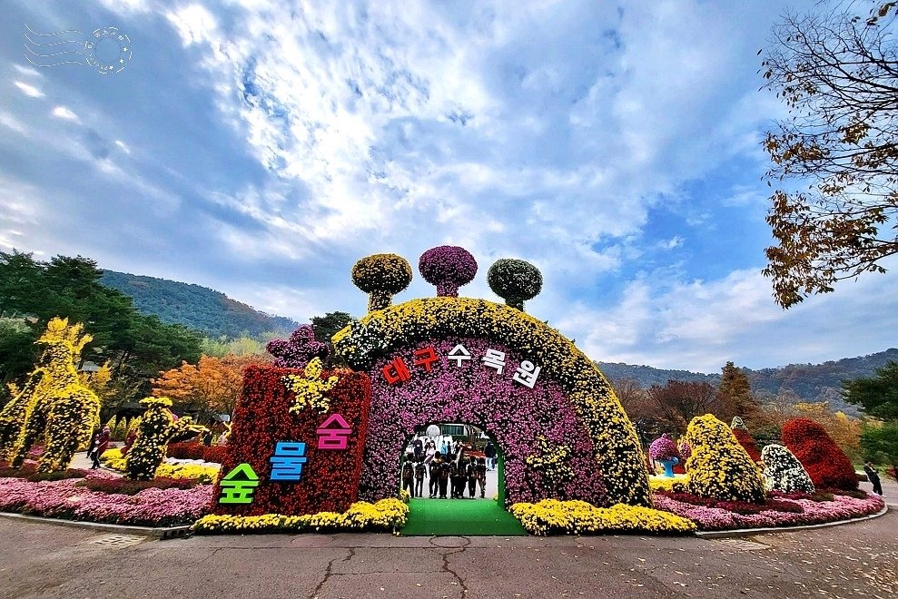 韓國【大邱樹木園】:菊花節