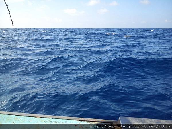 1449湧浪稍起.jpg