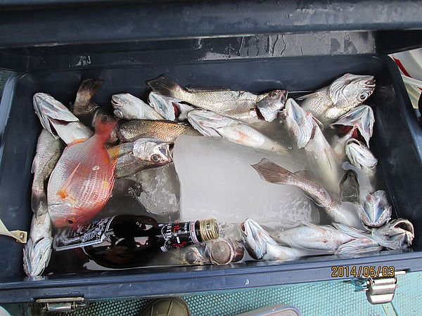 1601沈哥漁獲.jpg