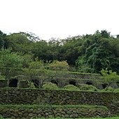 L1010790.JPG