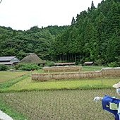 L1010870.JPG
