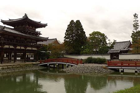 P1080731.JPG