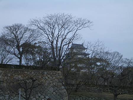 CIMG0772