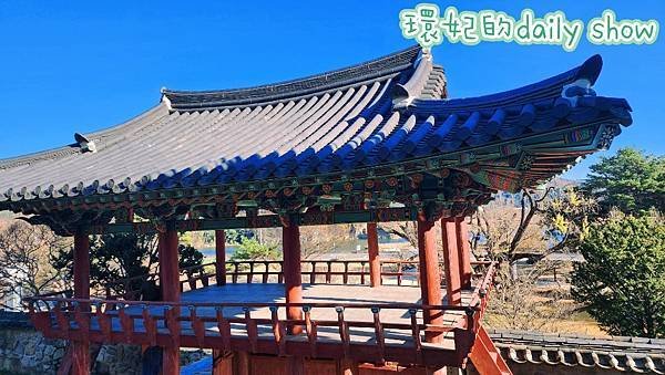 &lt;韓國大邱&gt;400多年銀杏老樹韓國五大書院之道東書院