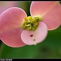 DSC01956.jpg