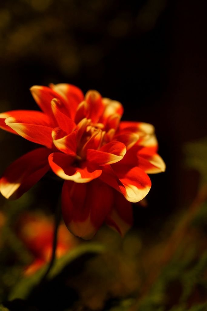 PhotoCap_041