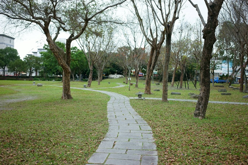 DSC04805.jpg
