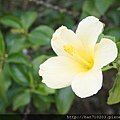 DSC00687.JPG